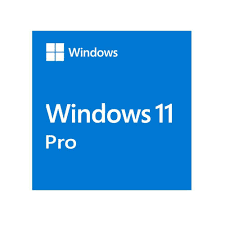 Windows 11 Pro (Serial) – Anigma